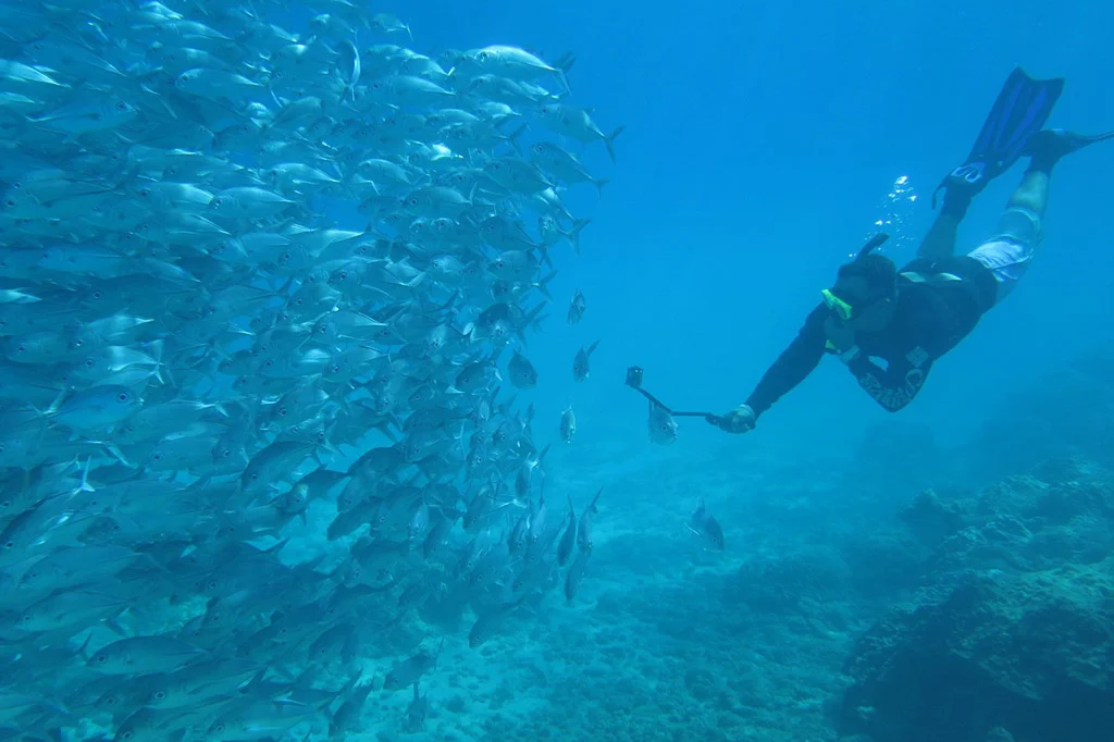 Snorkeling-isla-del-cano4-1