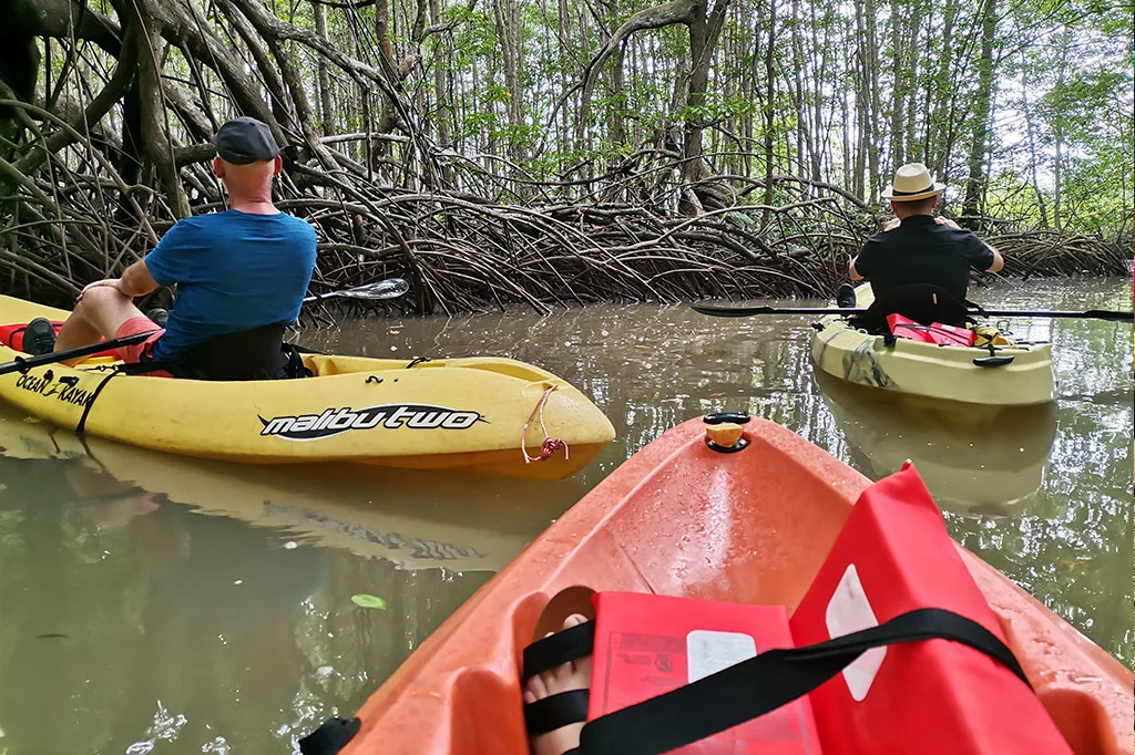 Tours-Kayaks2