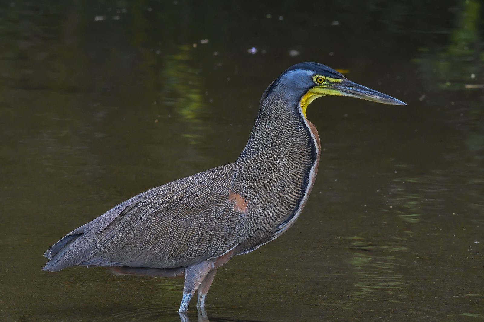 6143ba12-fccf-4cca-a421-68b7213f61f0