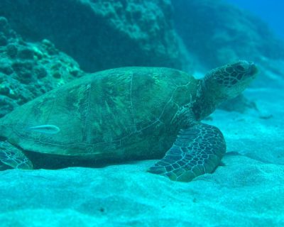 5df9b28d-b392-4851-9d69-96b89f0c6e5c