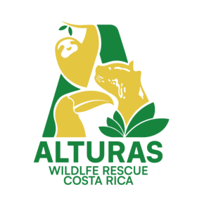 logo-alturas